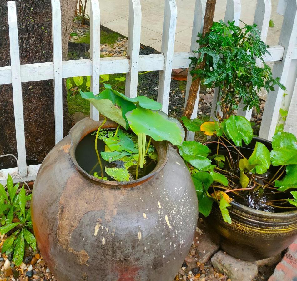 Lotus Corner - Heritage B&B Luang Prabang Zewnętrze zdjęcie