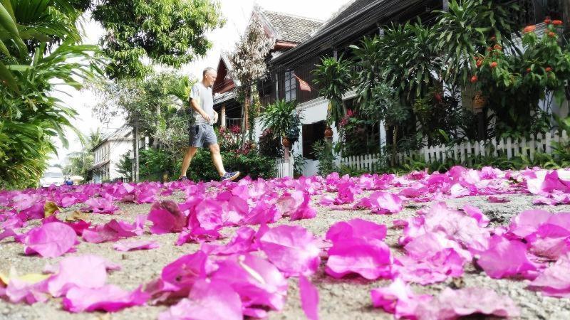 Lotus Corner - Heritage B&B Luang Prabang Zewnętrze zdjęcie